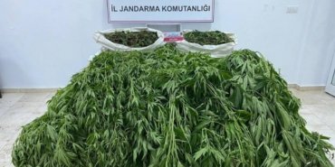 678825660_1600449872088405_6289964777556672464_n