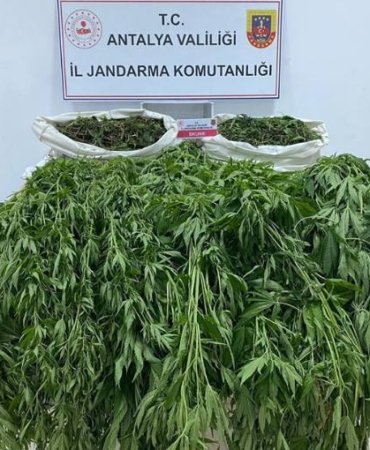 678825660_1600449872088405_6289964777556672464_n