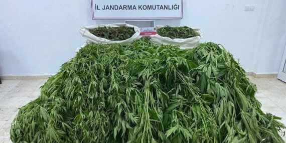 678825660_1600449872088405_6289964777556672464_n