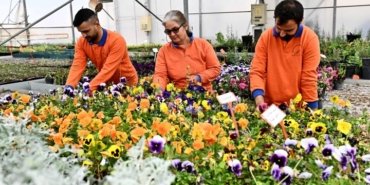 muratpasada-cicek-desenleri-gunleri-basliyor-130-bin-dal-cicekle-renkli-solen