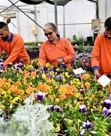 muratpasada-cicek-desenleri-gunleri-basliyor-130-bin-dal-cicekle-renkli-solen