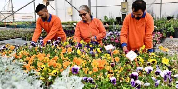 muratpasada-cicek-desenleri-gunleri-basliyor-130-bin-dal-cicekle-renkli-solen