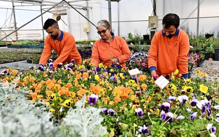 muratpasada-cicek-desenleri-gunleri-basliyor-130-bin-dal-cicekle-renkli-solen