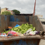 tonlarca-kabak-cope-dokuldu