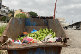 tonlarca-kabak-cope-dokuldu