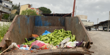 tonlarca-kabak-cope-dokuldu