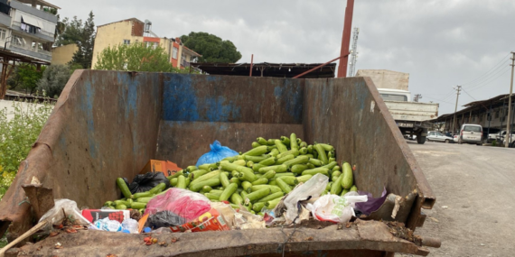 tonlarca-kabak-cope-dokuldu